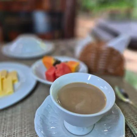 Aratinga Inn-3